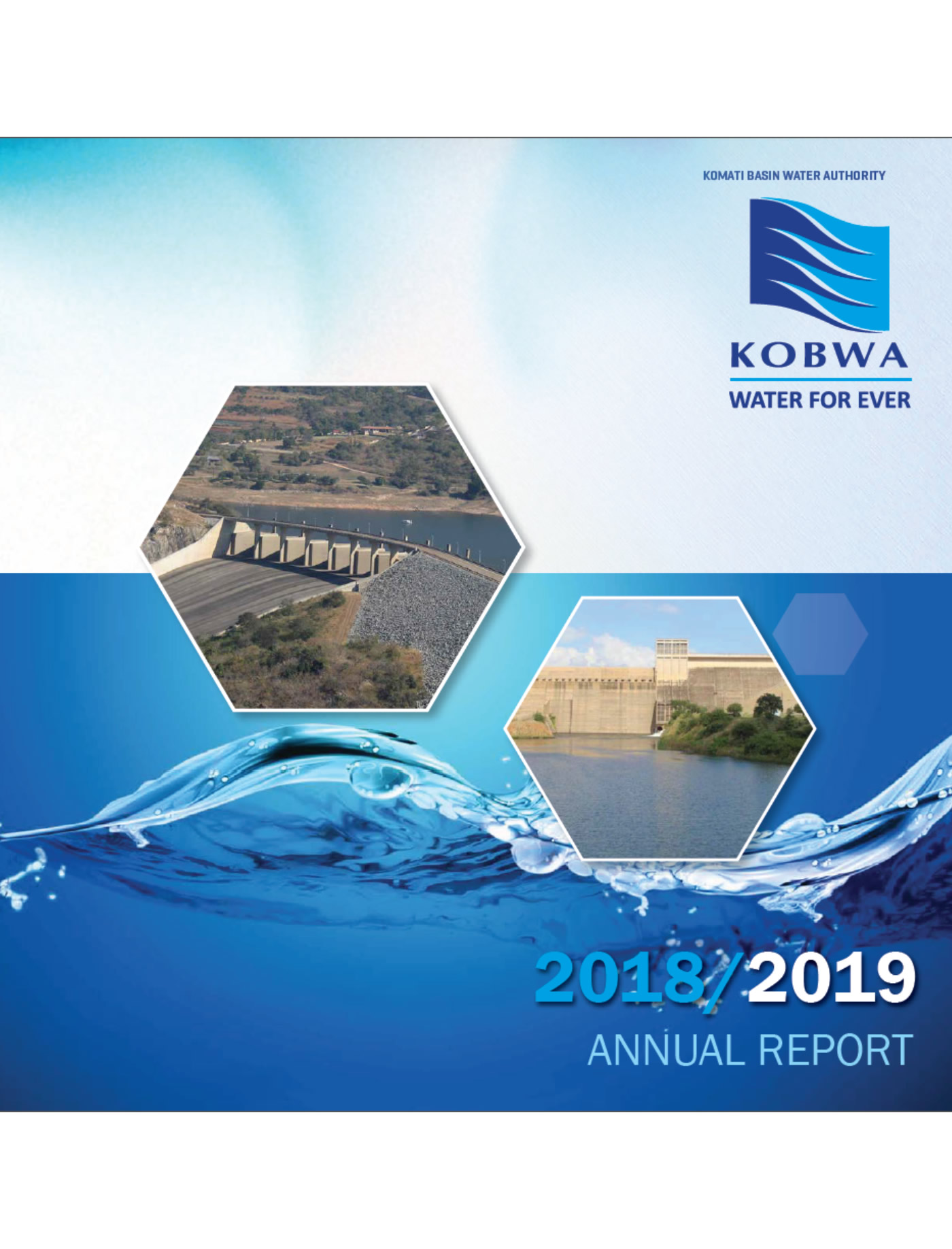 Annual Report 2019